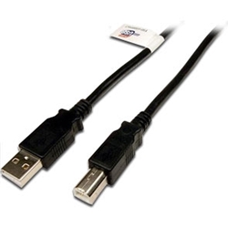 USB-CABLE USB Cable 10'